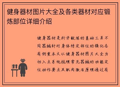 健身器材图片大全及各类器材对应锻炼部位详细介绍