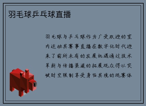 羽毛球乒乓球直播
